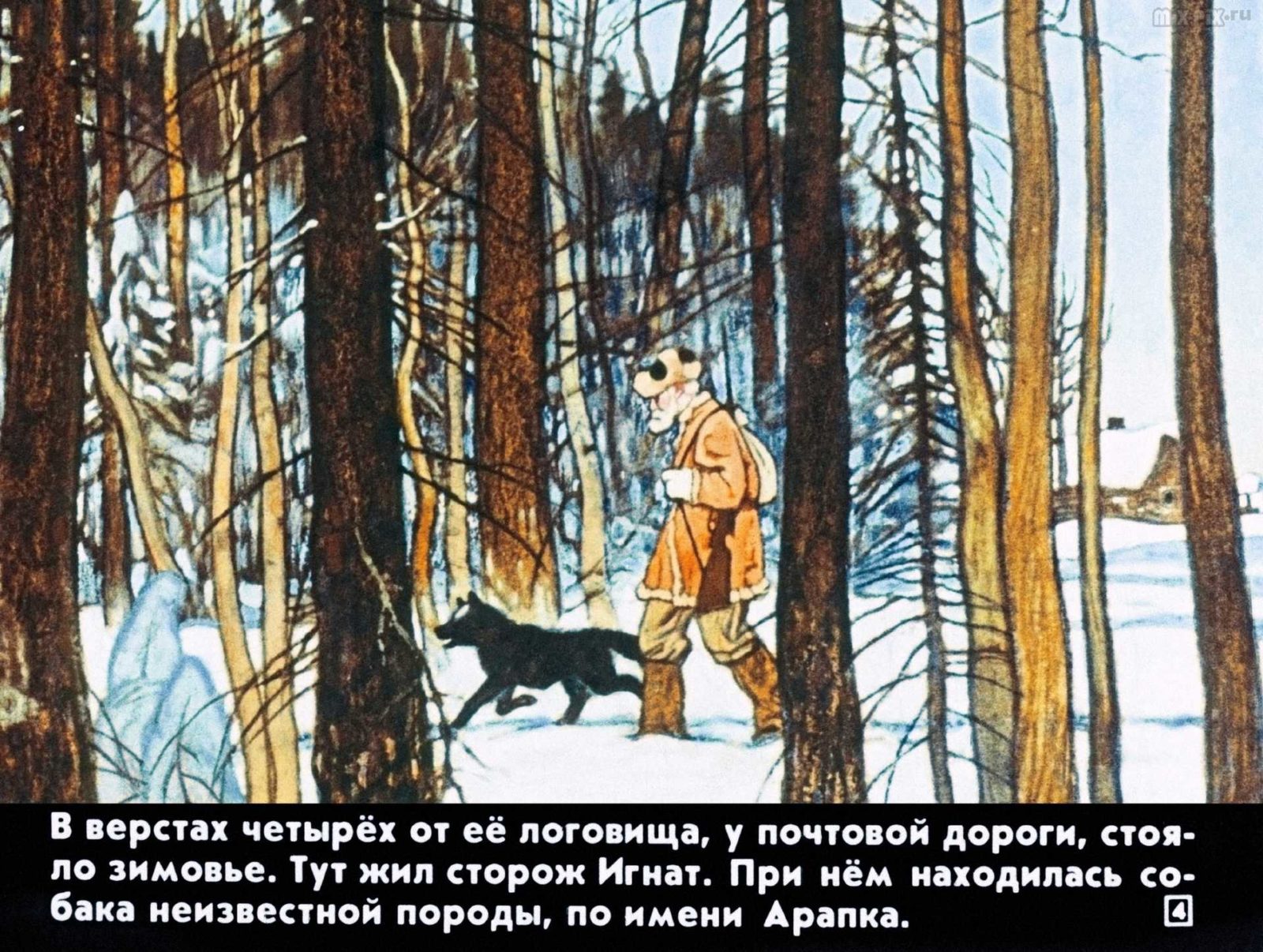 Белолобый (1988) 19