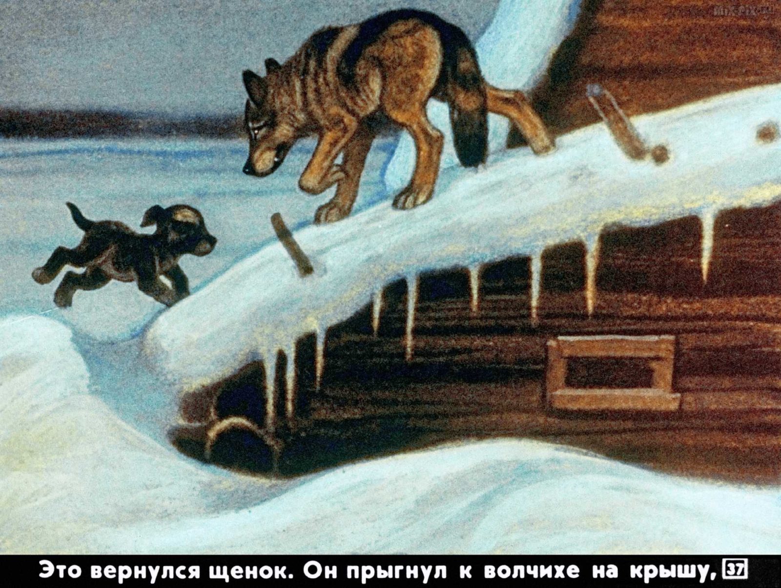 Диафильм - Белолобый (1988)