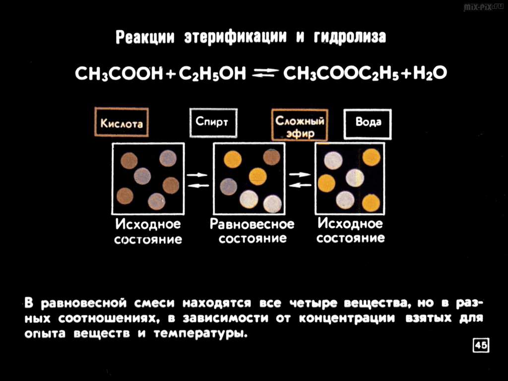 Химические реакции (1981) 91