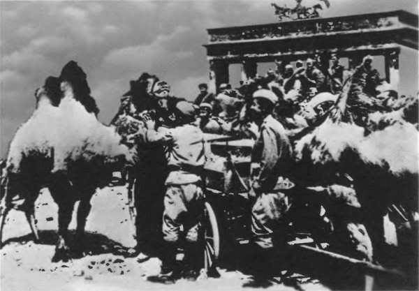 Верблюд-бактриан Володя пришел с батарейцами 771-го артполка в Берлин к Бранденбургским воротам. Май 