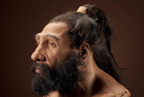 Неандертальцы как они жили и почему исчезли 8