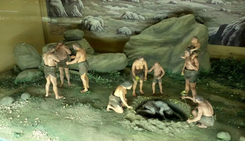 Неандертальцы как они жили и почему исчезли 9