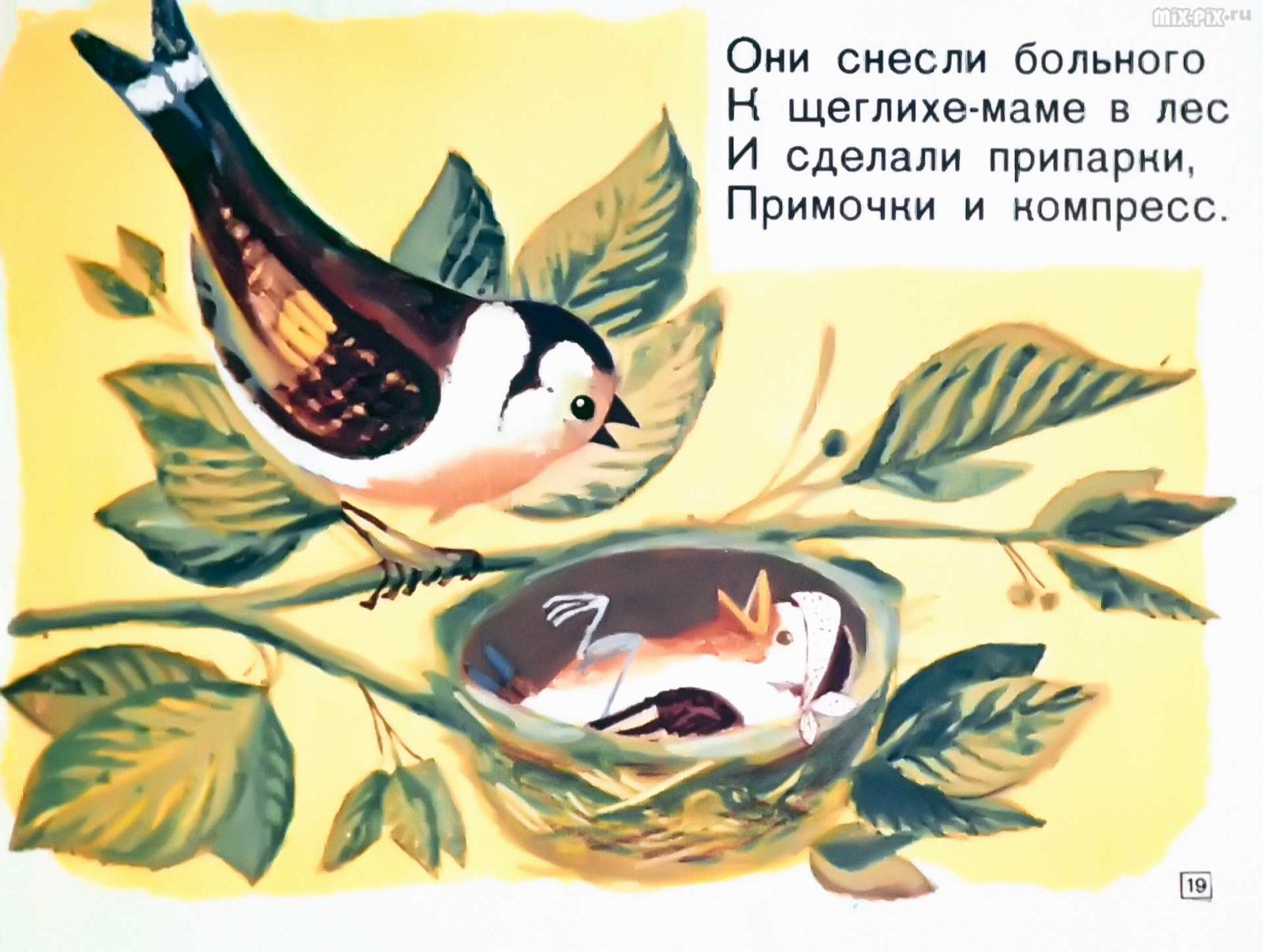 Диафильм - Касьянка, Том и Плут (1968)