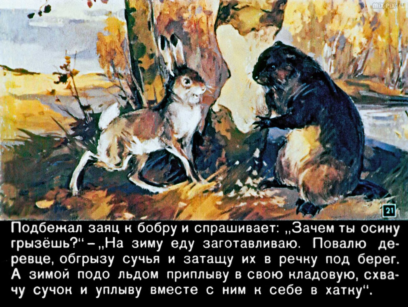 Диафильм - Зайкин год (1958)