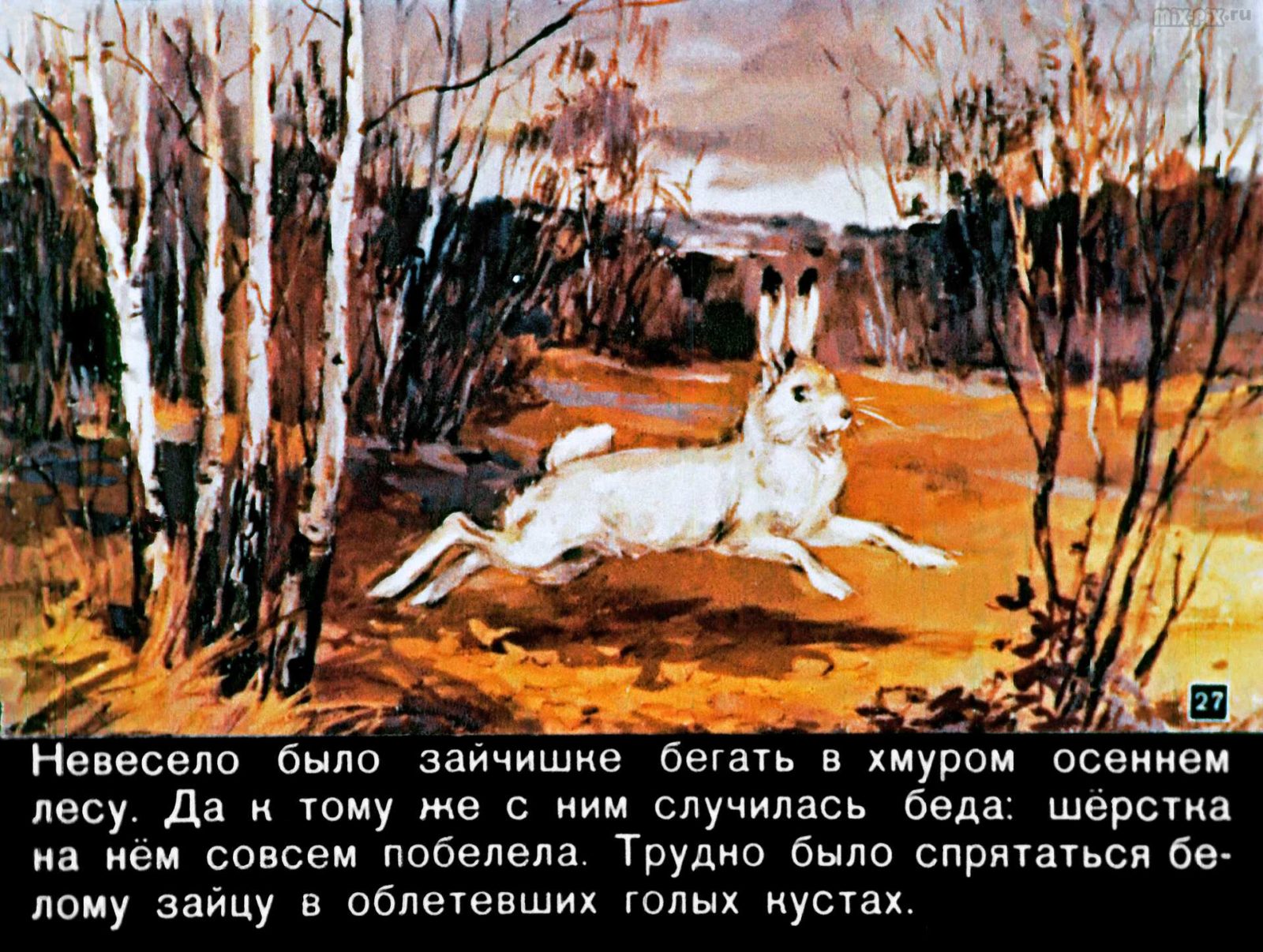 Диафильм - Зайкин год (1958)