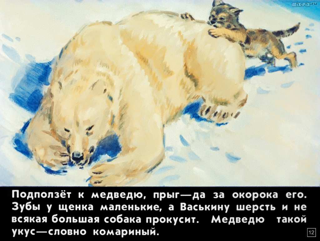 Медвежонок Васька (1989) 49