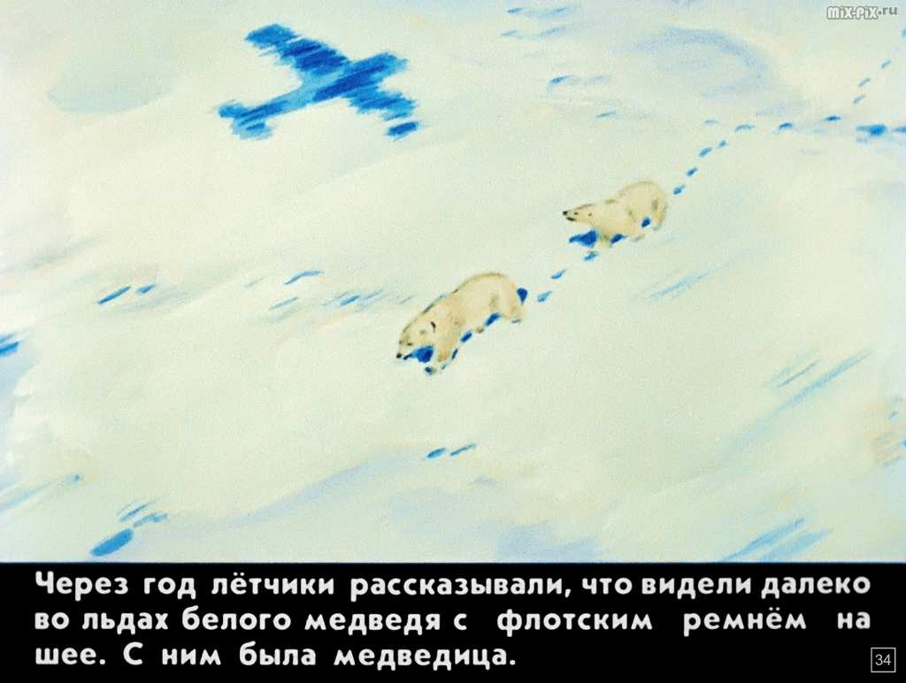 Медвежонок Васька (1989) 71