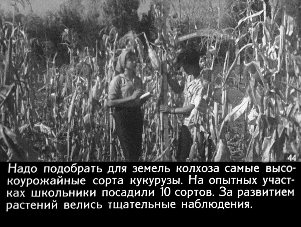 Бригада юных (1964) 100