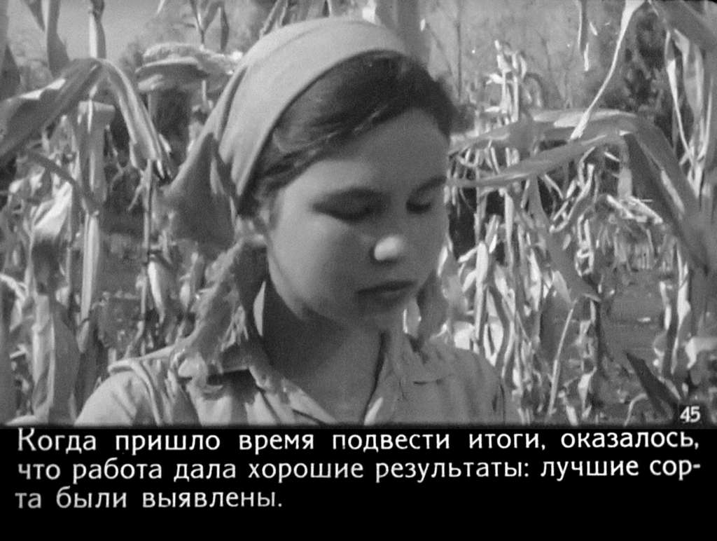Бригада юных (1964) 101
