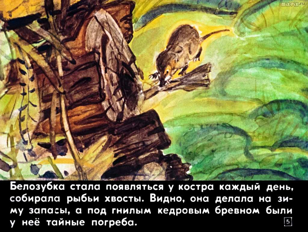 Белозубка (1982) 46