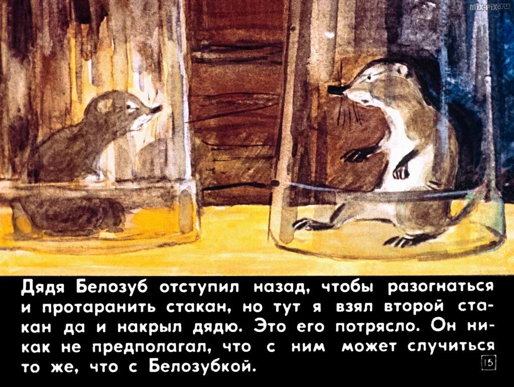Белозубка (1982) 56