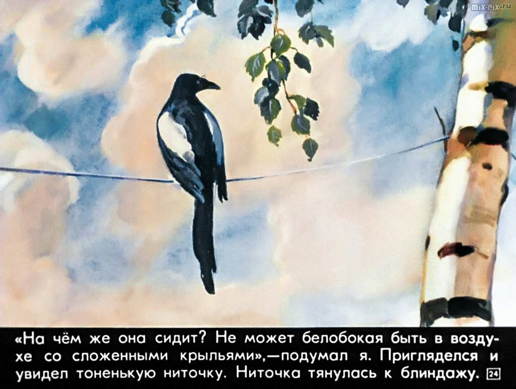 Рассказы разведчика Жилкина (1982) 55