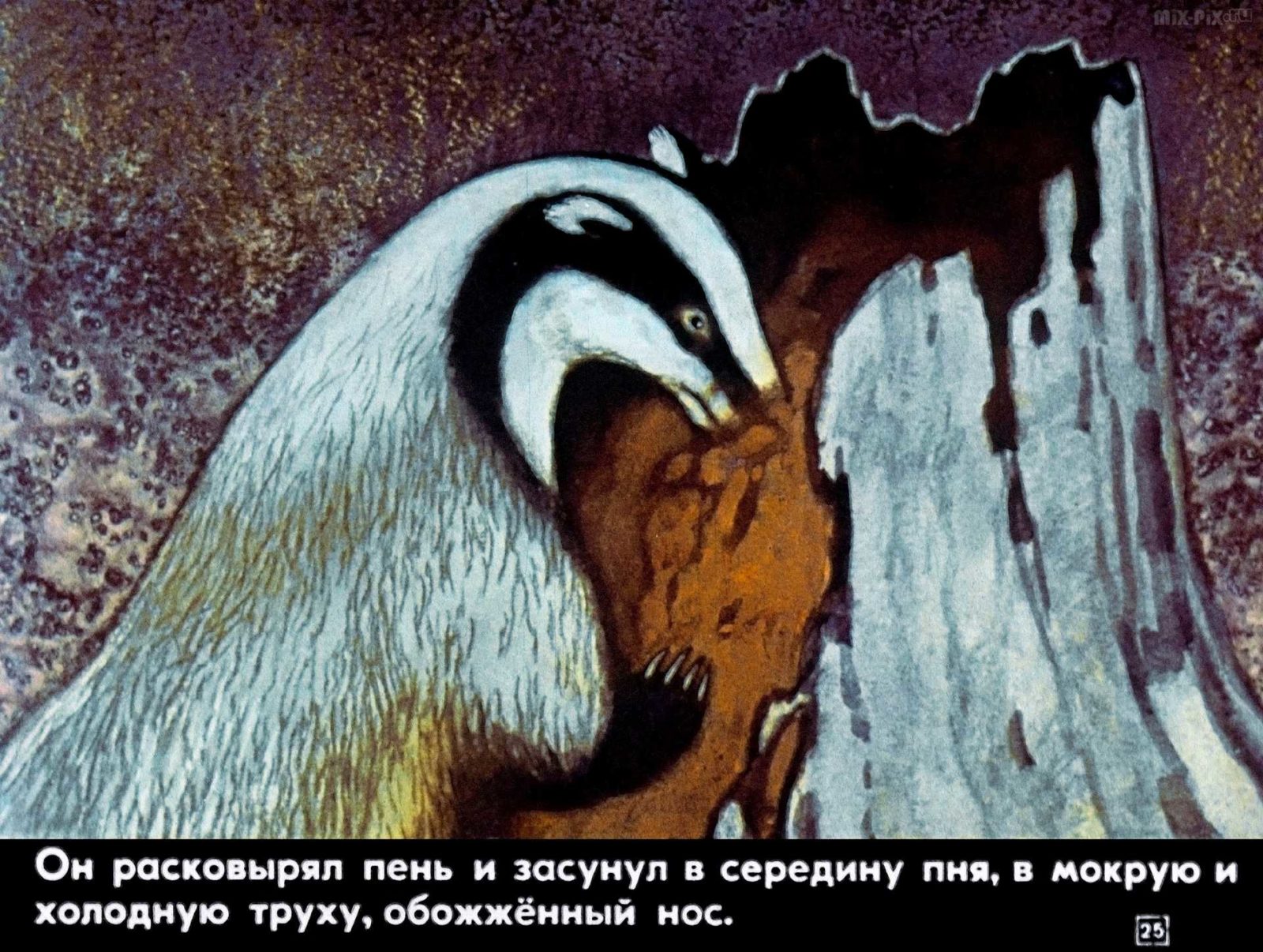 Идея произведения барсучий нос. Иллюстрация к рассказу барсучий нос Паустовский. К. Паустовский "барсучий нос".