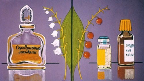 Класс однодольные растения (1992 г.) 2